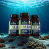 LivLean - 3 Bottles