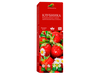skazochnyj-sbor